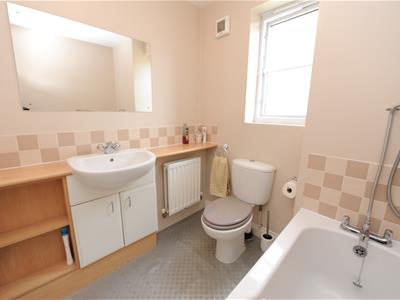 Picture 13